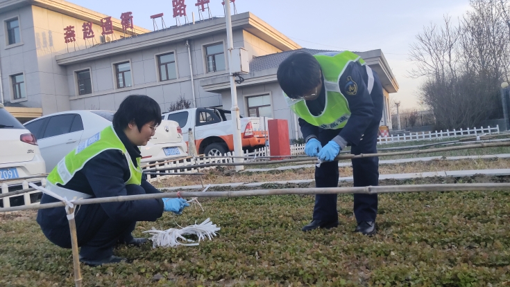 邢汾分公司东马庄收费站：防寒保暖齐发力，帮助“幸福菜园”安全越冬